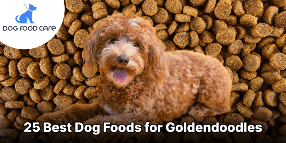 Best food for goldendoodle