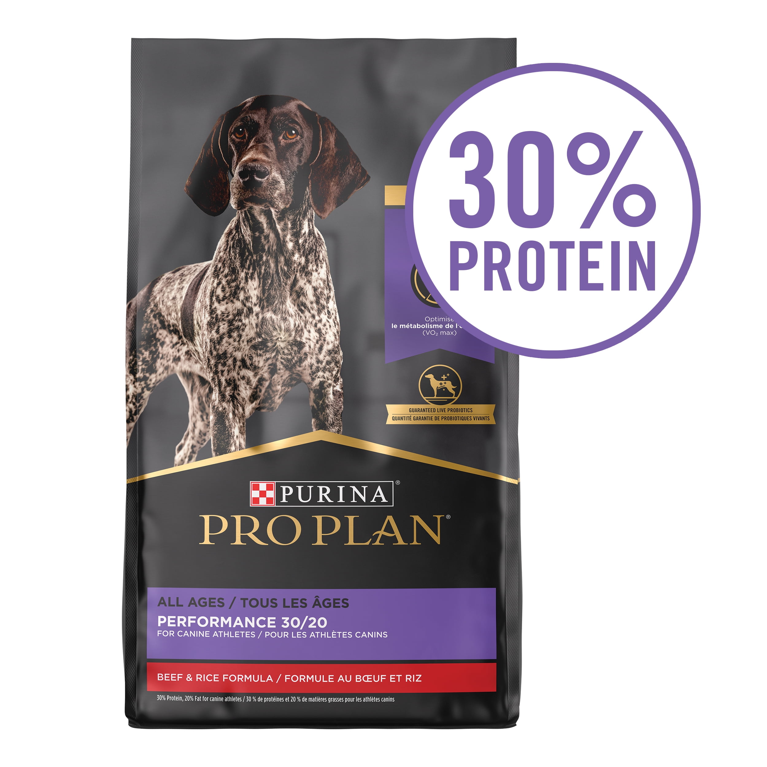 High calorie dog food