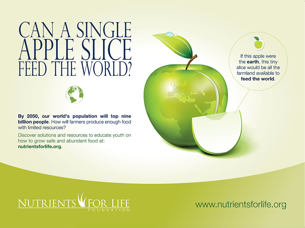 Poster of food apple