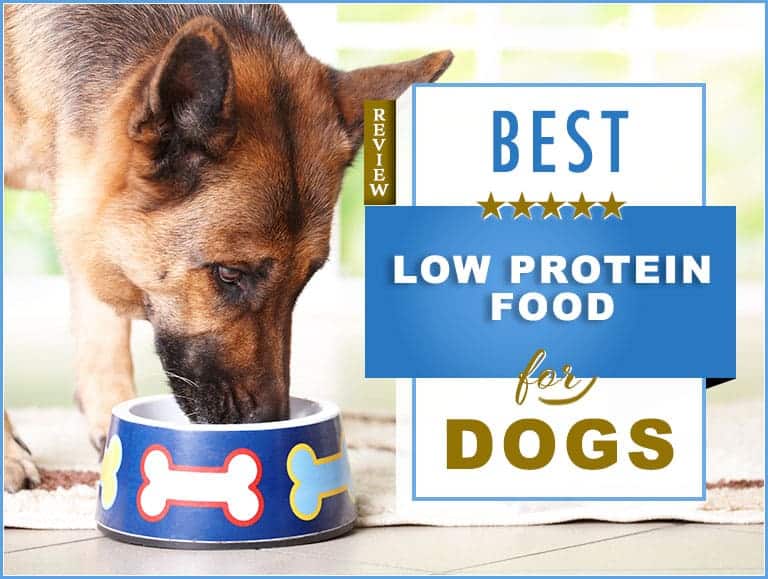 Low protein dog food