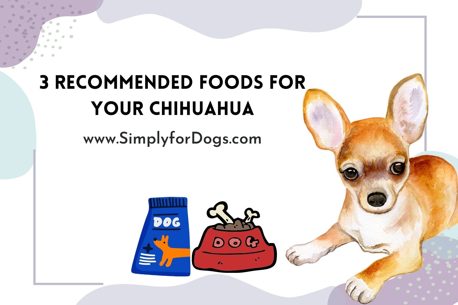Food for chihuahua