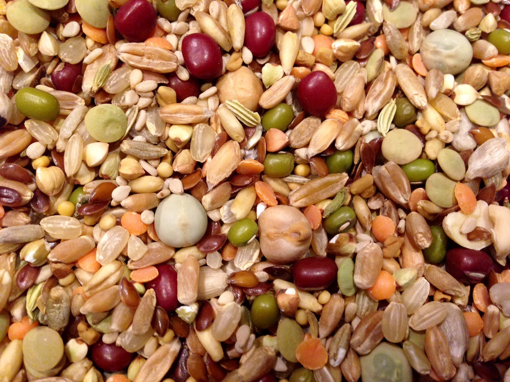 Parakeet food