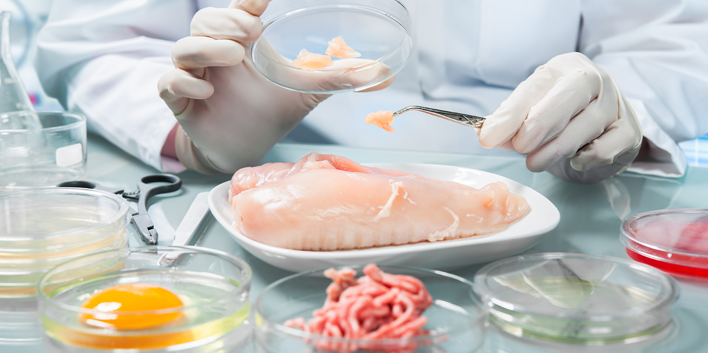 Food labs korea
