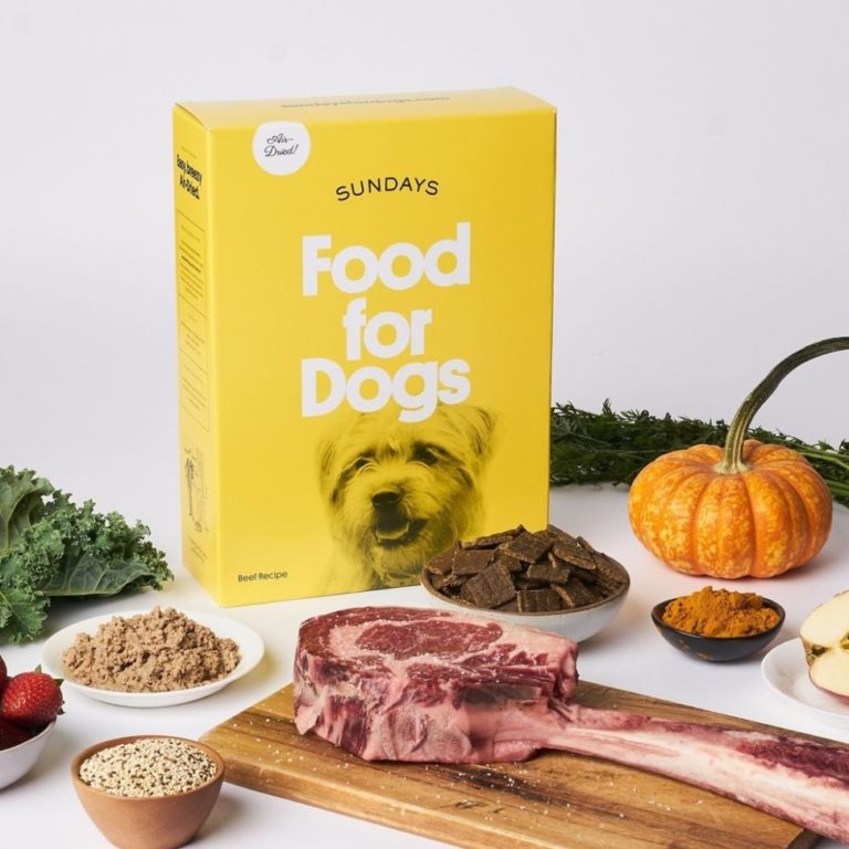 Sundays dog food reviews