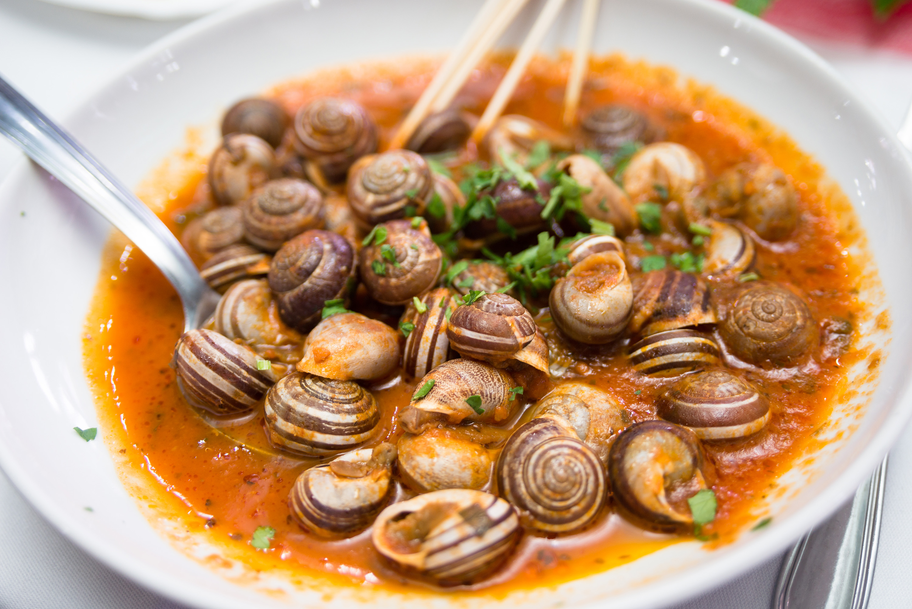 Snail food