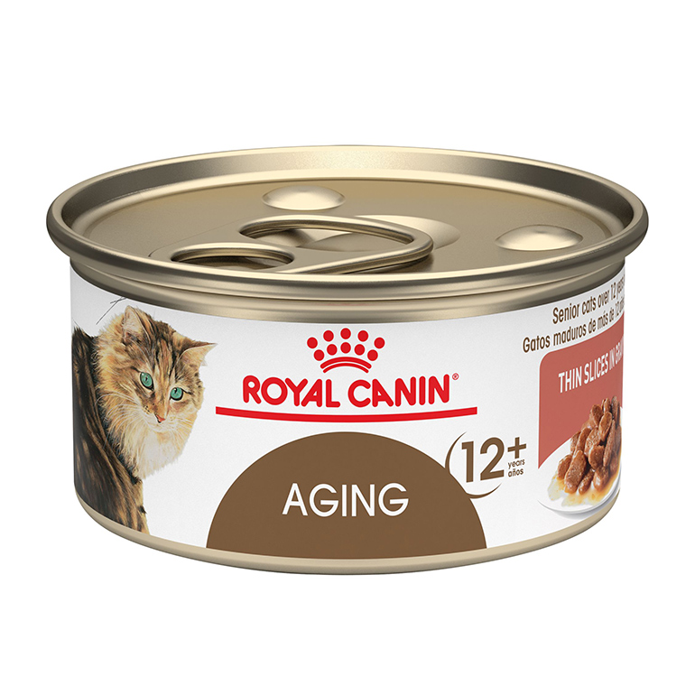 Best senior cat food