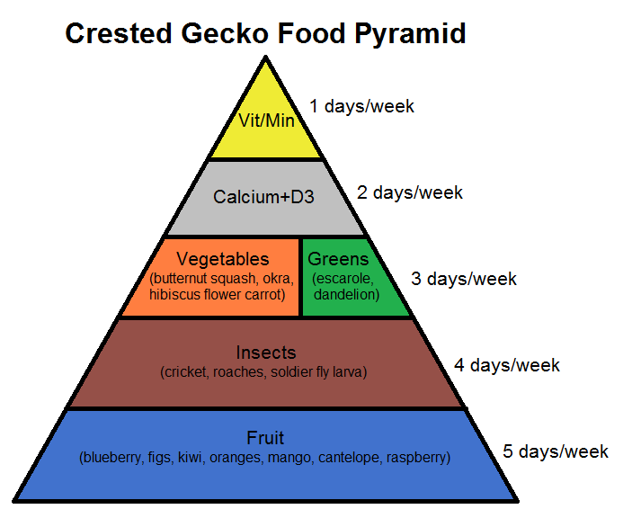 Crested gecko food