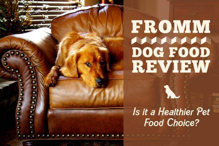 Fromm dog food reviews