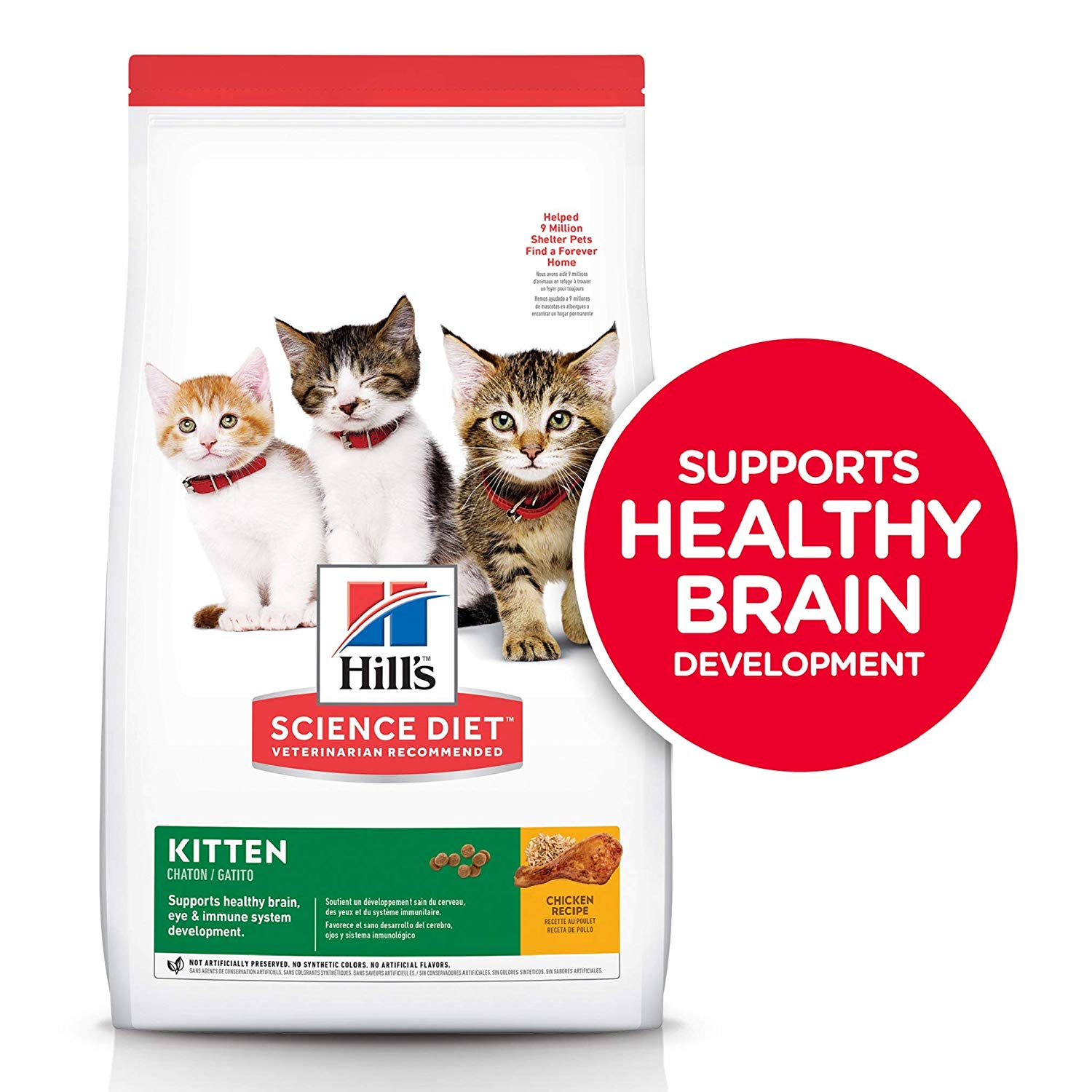 Best dry kitten food