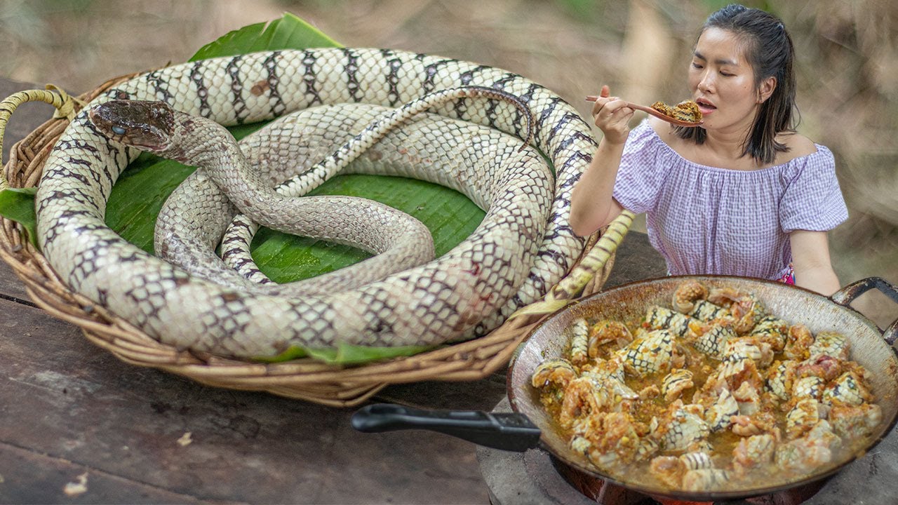 Food snake python ball ll feeds gotta mouse eat